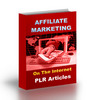 Thumbnail Affiliate Marketing On The Internet Thumbnail Affiliate Marketing On The Internet
